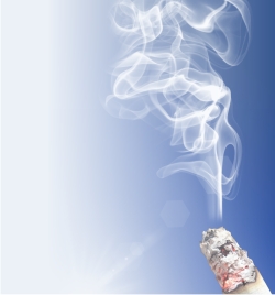 С подобным вопросом к нам все чаще обращаются заинтересованные представители гостиниц и общежитий,  справедливо полагающие, что зачастую причиной пожара является непотушенный окурок сигареты в местах, запрещенных для курения.