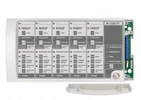 Блок индикации системы пожаротушения С2000-ПТ 2RS485
