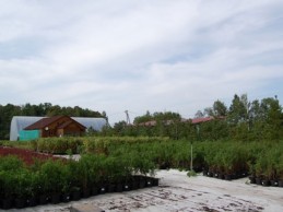 АПС/АПТ "Заокские питомники растений"